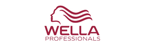 WELLA PROFESSIONALS – Comparación de los data file de Peluqueros Wella con la base de datos MMAS Peluquerías 